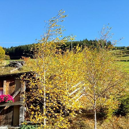 Pension Verdinserhoehe Schenna Bagian luar foto